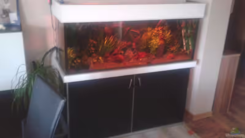 sonnenaufgang von phrankdiddie (29)