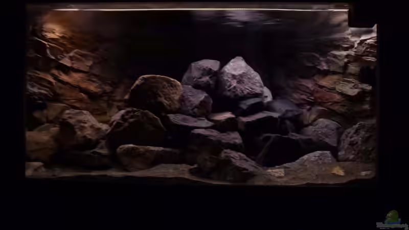 Sonnenaufgang von Tobias.Neher (12)