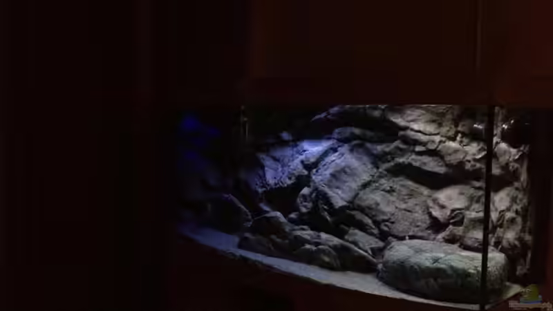 Sonnenaufgang von Tobias Sch. (9)