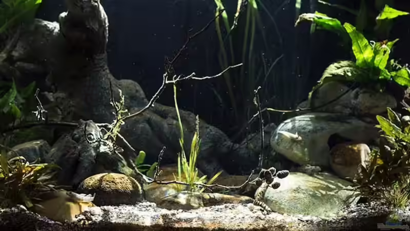 Sonnenstrahlen, besseres Licht gibt es nicht!! von AjakAndi (6)