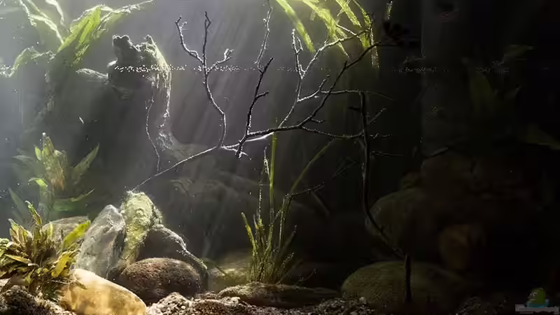 Sonnenstrahlen gleiten ins Becken ...  von AjakAndi (5)