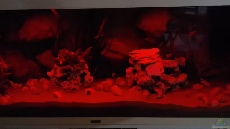 Sonnenuntergang - Stufe 3 von Shayla (27)