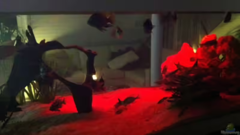 Sonnenuntergang ;) von Jennifer Clee (11)