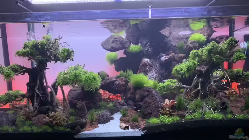 Sonnenuntergang  von Matze3110 (12)