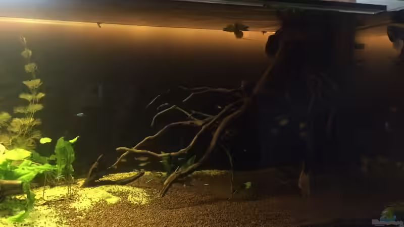 Sonnenuntergang  von Ragner (27)