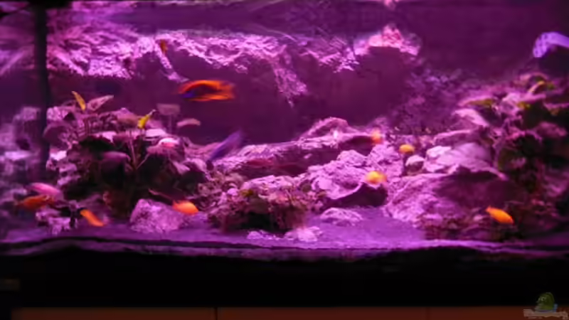 Sonnenuntergang 1 von tomwu (30)