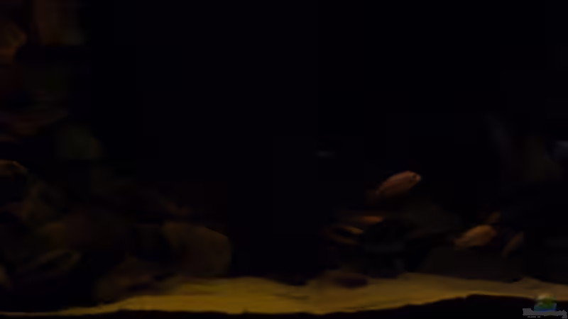 Sonnenuntergang 2 von JOHN (8)