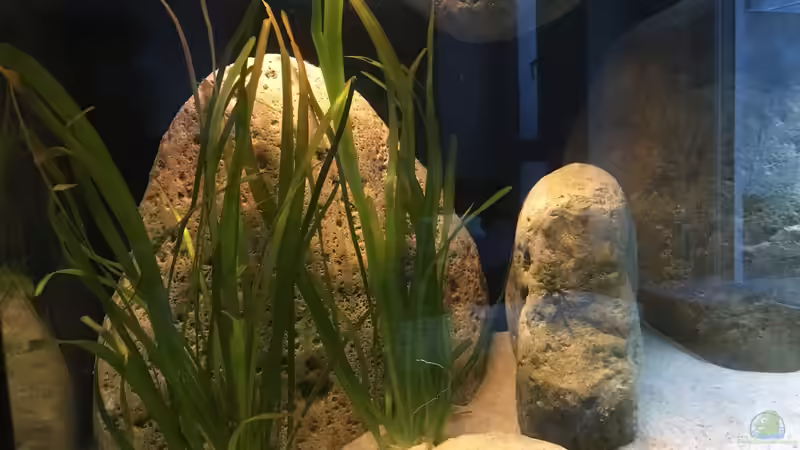 Sonnenuntergang 2 von Malawihude (6)