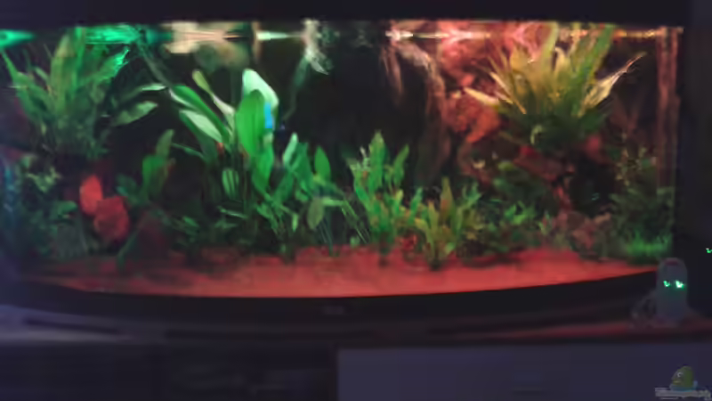 Sonnenuntergang 20.30 Uhr von Rene Zwirchmayr (6)