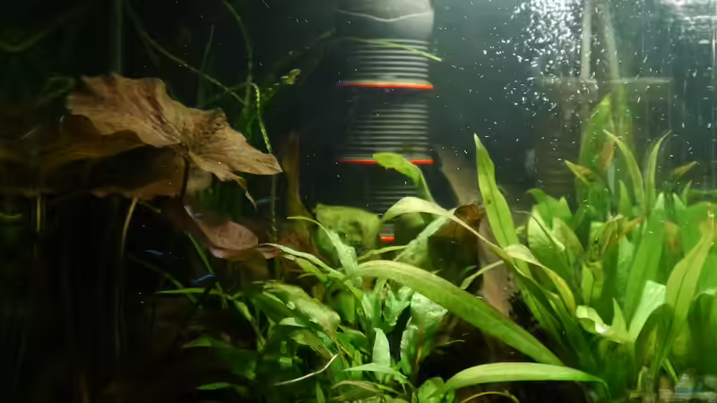 Sonnenuntergang am Abend von Glückspirat82 (8)