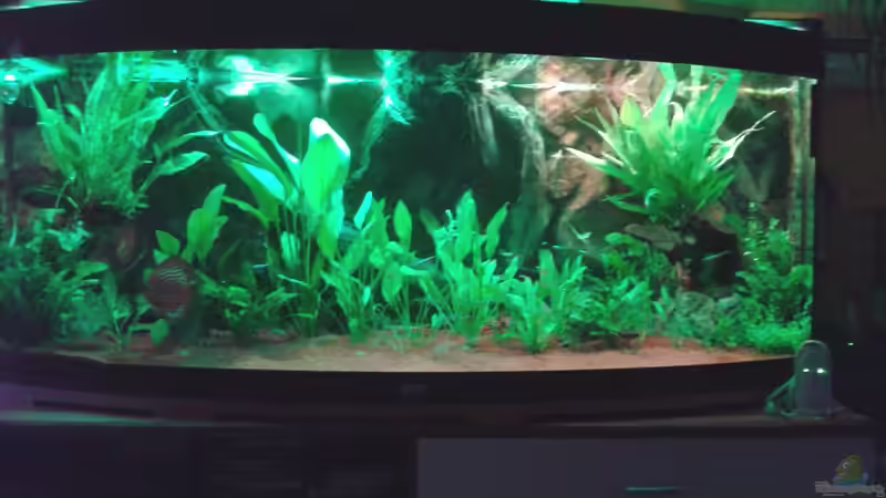 Sonnenuntergang beginn: 20 Uhr von Rene Zwirchmayr (4)