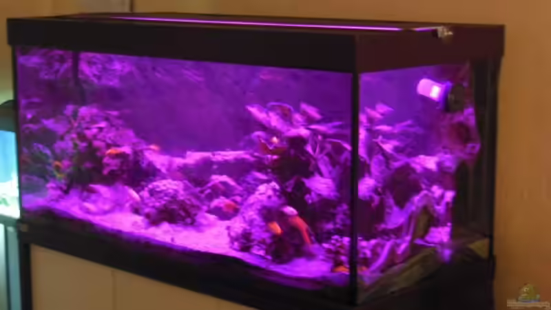 Sonnenuntergang Endphase von tomwu (31)