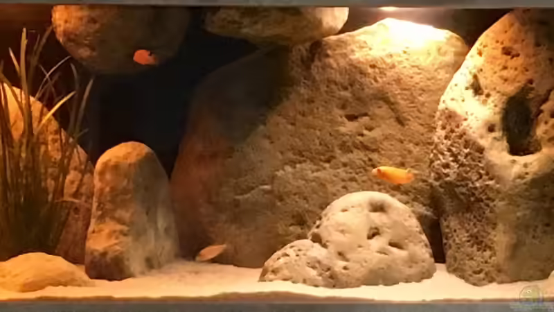 Sonnenuntergang in Malawihude von Malawihude (12)