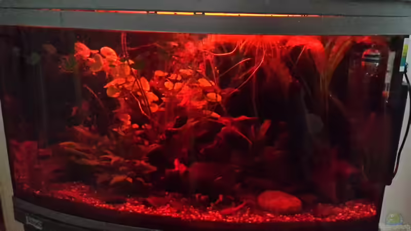 Sonnenuntergang (kurz vor dem ausgehen) von Kathrin77 (5)