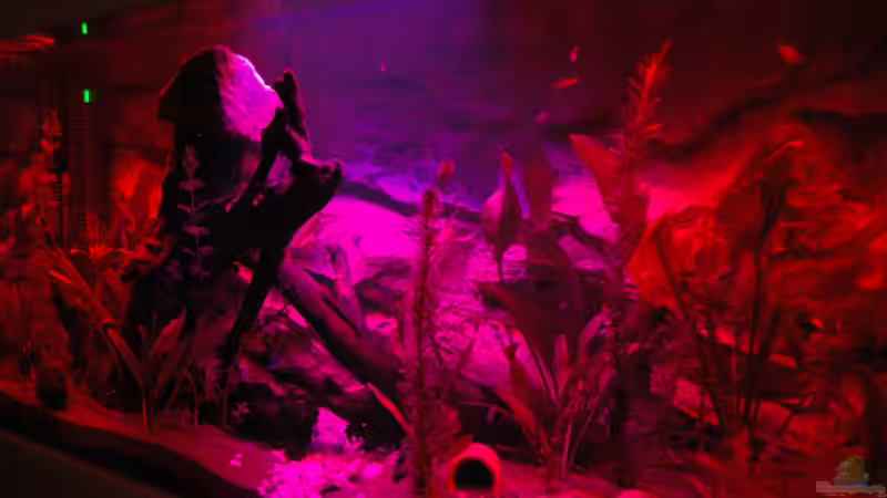 sonnenuntergang mit mondphase von marciii1985 (9)