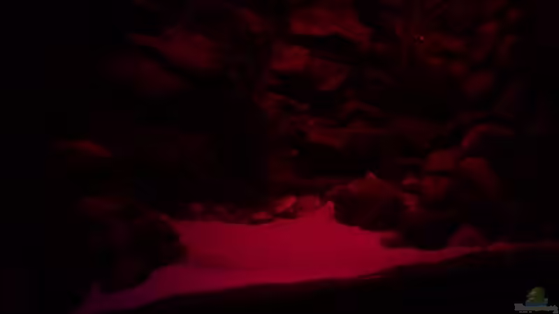 Sonnenuntergang nach 40 von prerow (6)