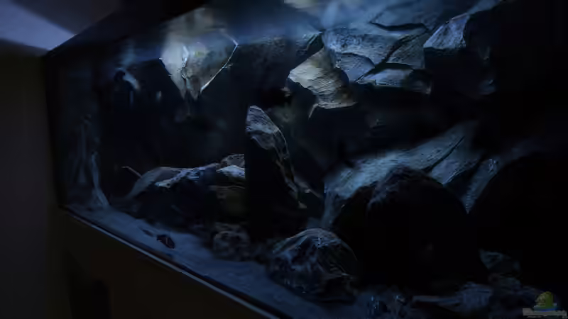 Sonnenuntergang von baumringzaehler (17)