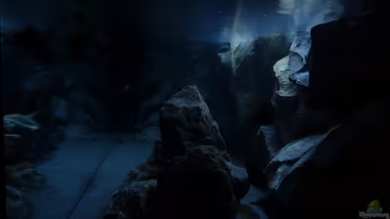 Sonnenuntergang von baumringzaehler (18)