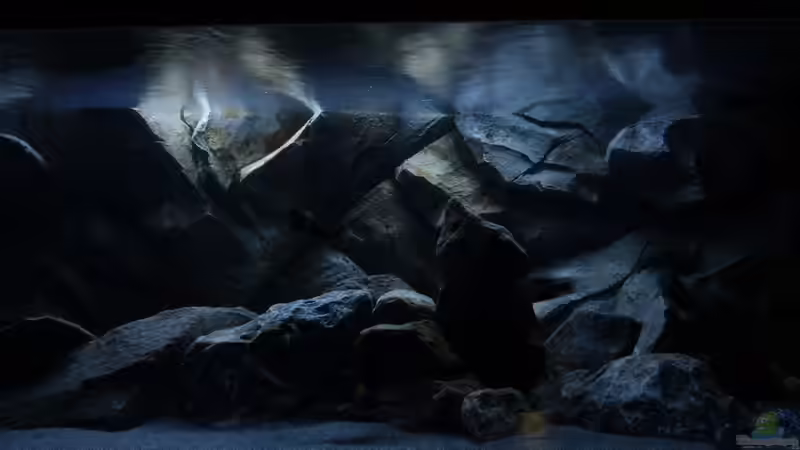 Sonnenuntergang von baumringzaehler (19)