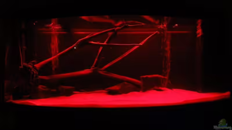 Sonnenuntergang von Christoph904 (3)