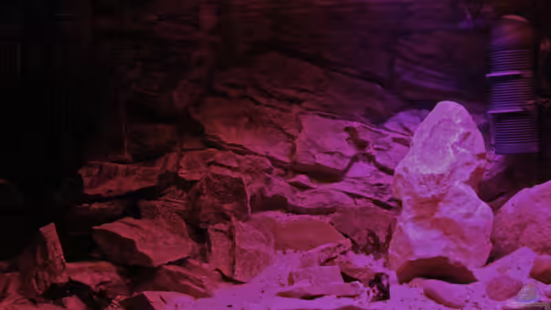 Sonnenuntergang von Cruiser Bruno (9)