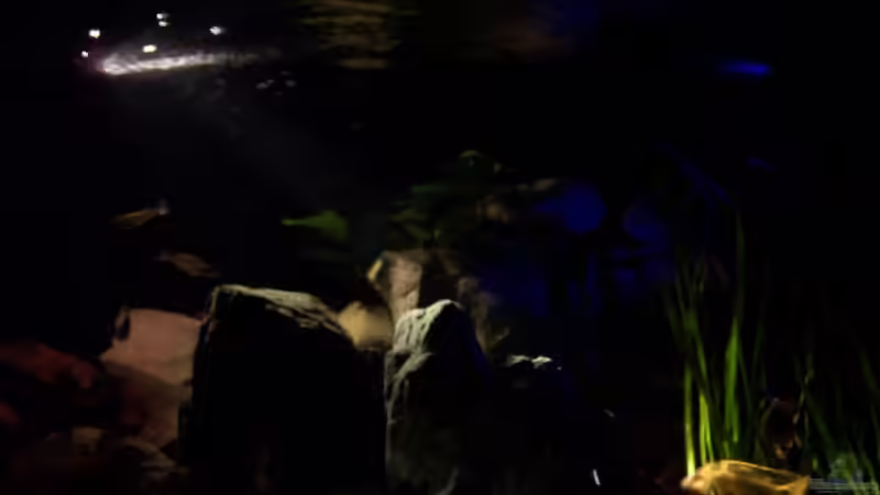 Sonnenuntergang von Detlef Lehmann (4)