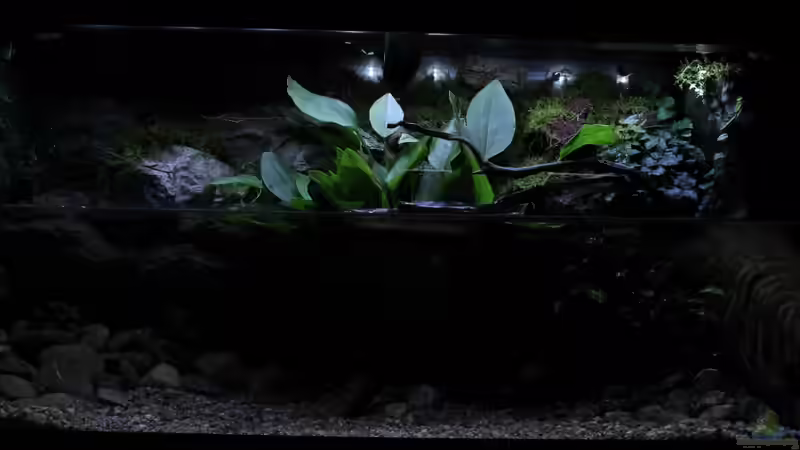 Sonnenuntergang von die Perle... (4)