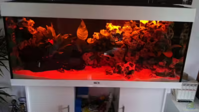 Sonnenuntergang von Down Face (4)