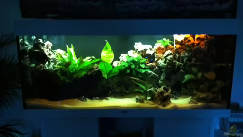 Sonnenuntergang von Down Face (9)