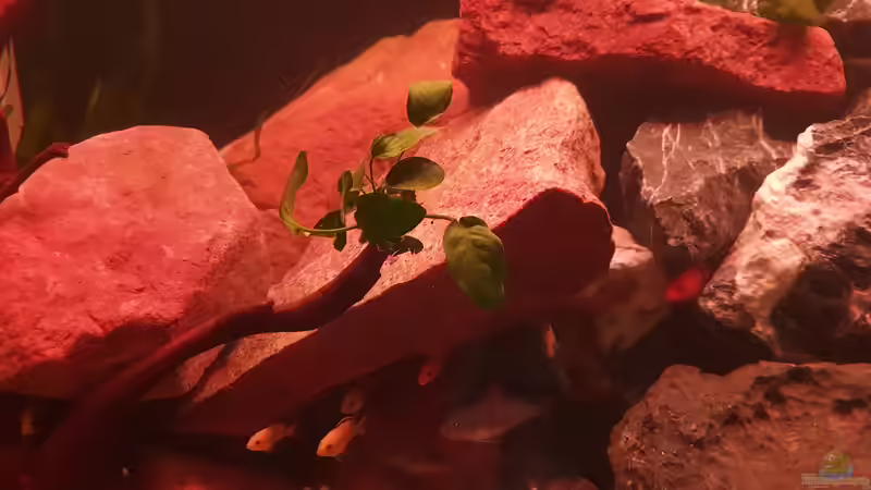 Sonnenuntergang von EliJac (27)