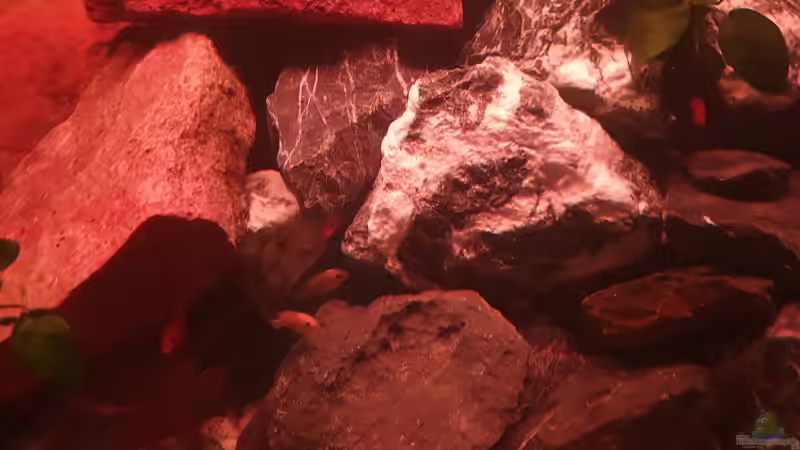 Sonnenuntergang von EliJac (28)