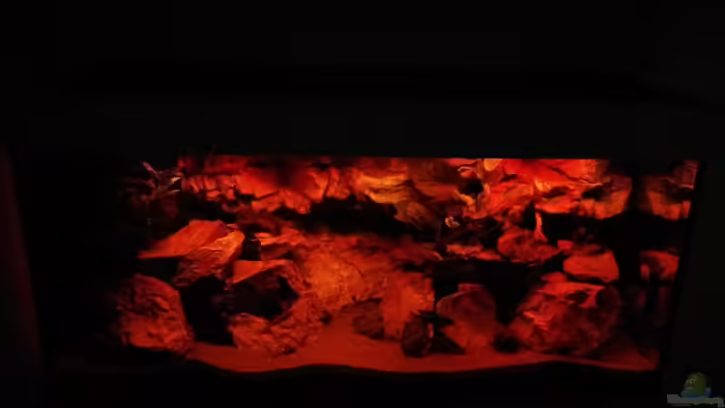 Sonnenuntergang von FunkyTraut (12)