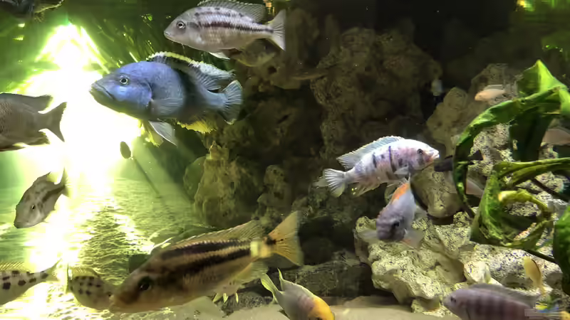 Sonnenuntergang von Klaus G (2)