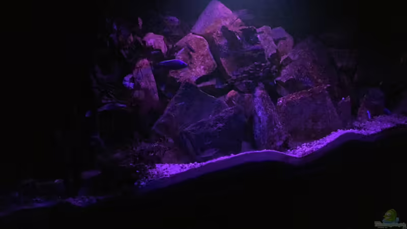 Sonnenuntergang von Lippi (4)