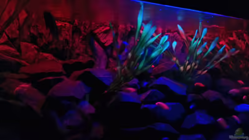 Sonnenuntergang von lohmi_5 (13)