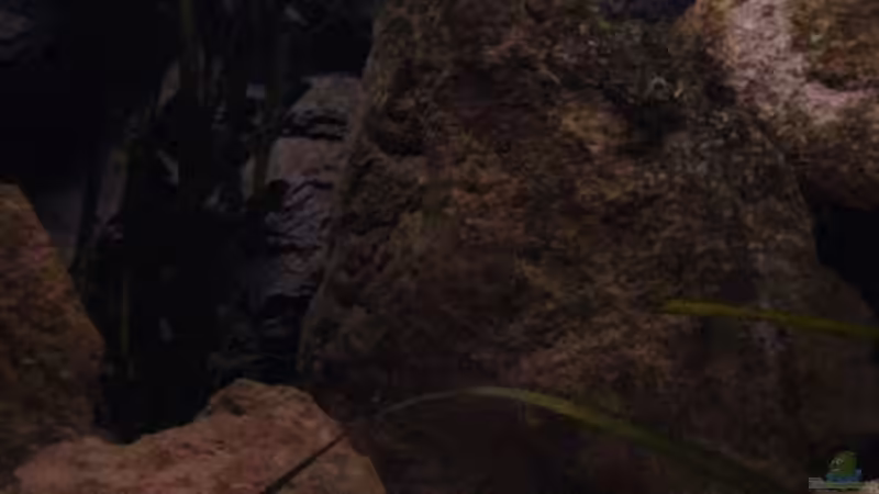 Sonnenuntergang von Malawigo (23)