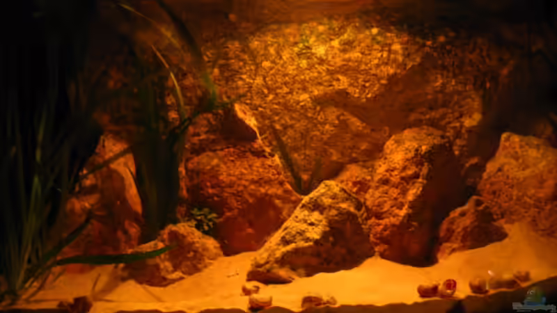 Sonnenuntergang von Malawigo (3)