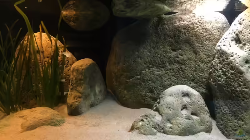 Sonnenuntergang von Malawihude (5)