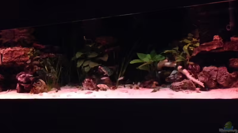 Sonnenuntergang von Martina (8)