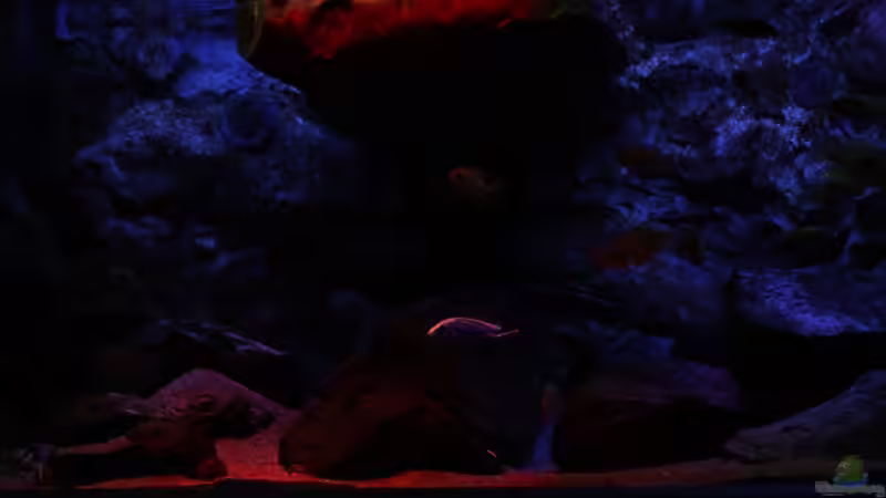 Sonnenuntergang von Michael Reiz (18)