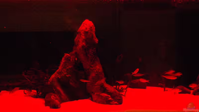 Sonnenuntergang von Miriam (2)