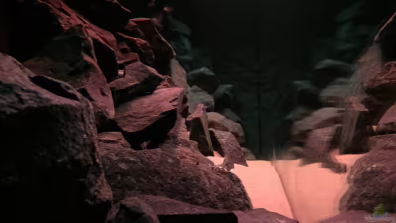 Sonnenuntergang von Philipp Böhme (23)