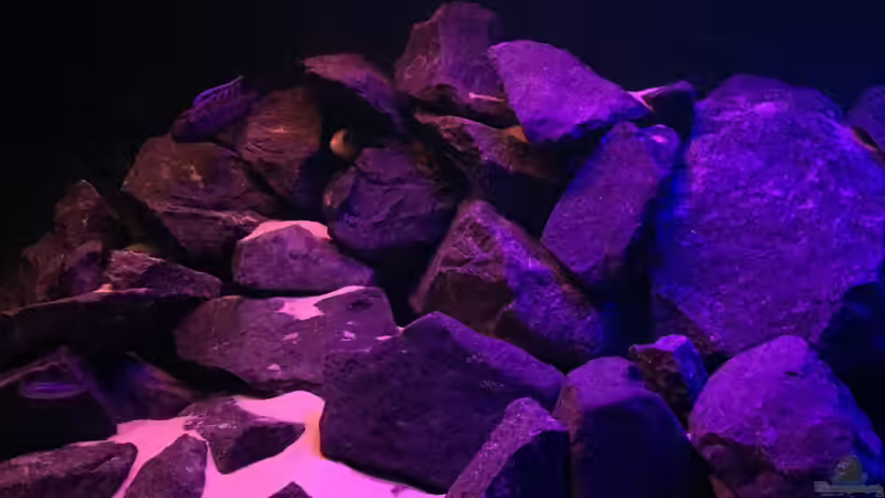 Sonnenuntergang von Philipp Böhme (24)