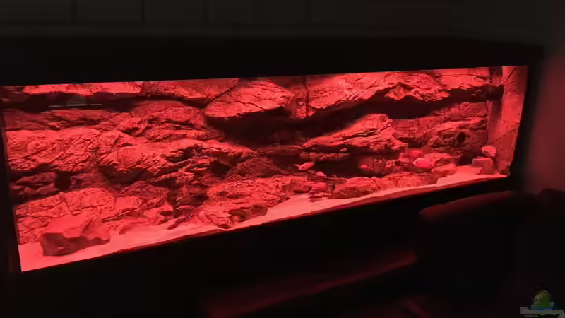 Sonnenuntergang von Purki (83)