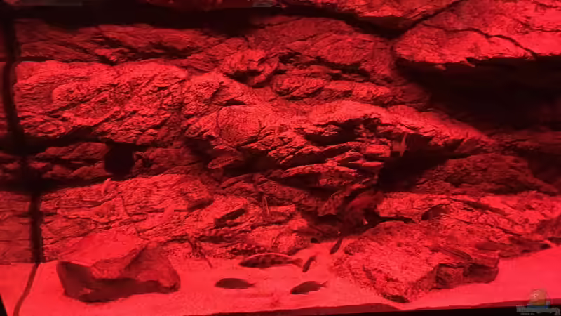 Sonnenuntergang von Purki (84)