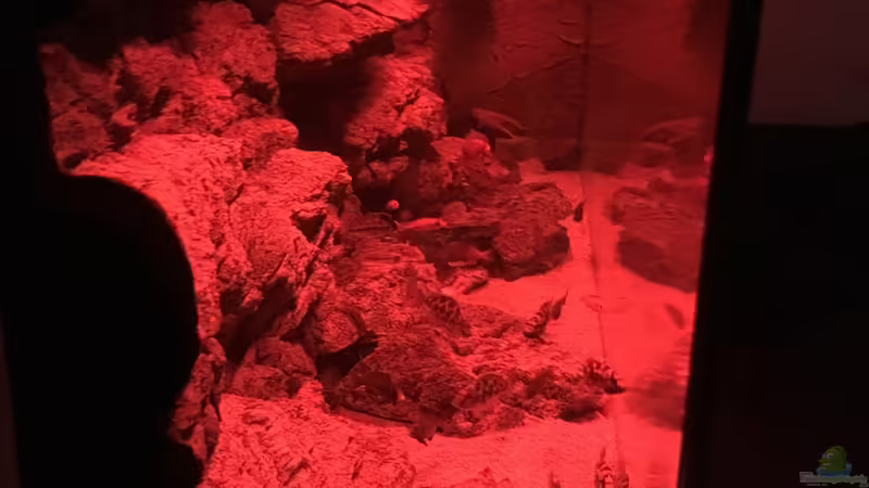 Sonnenuntergang von Purki (85)