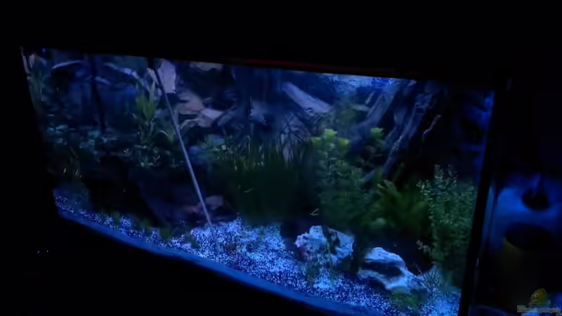 Sonnenuntergang von raubsau (15)