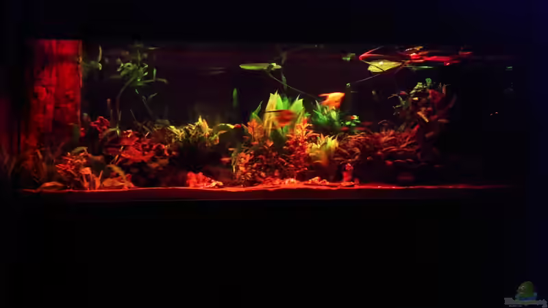 Sonnenuntergang von Seemann (12)