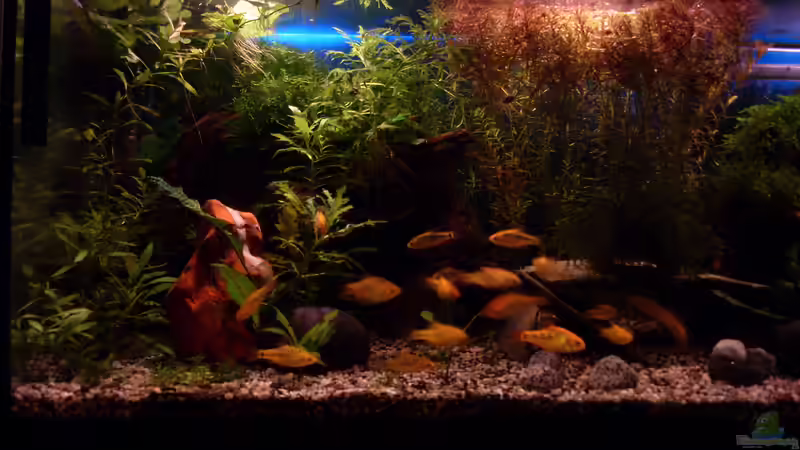 Sonnenuntergang von Stefano83 (35)