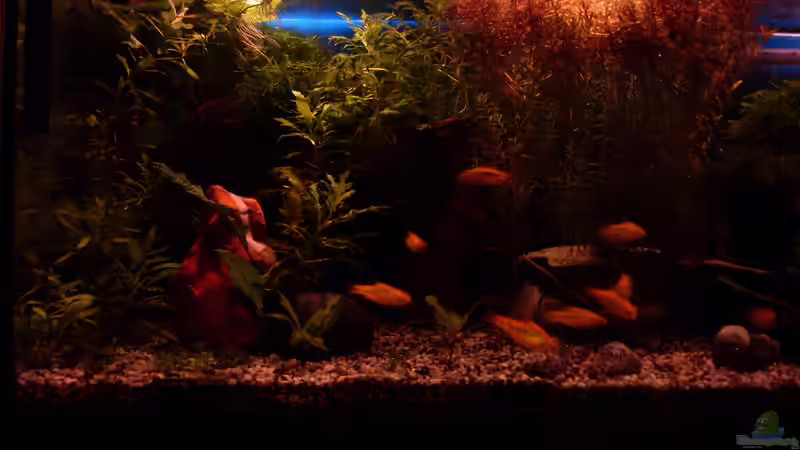 Sonnenuntergang von Stefano83 (36)